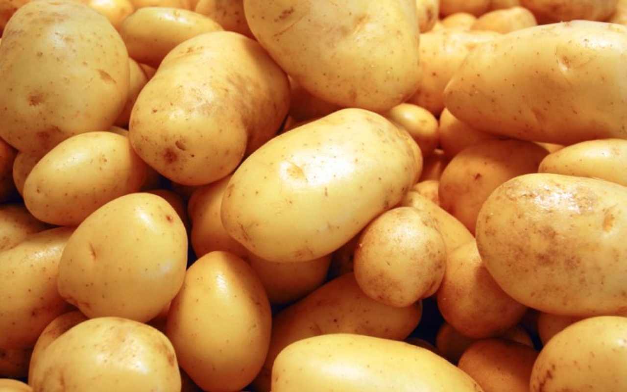 Quel che c'è da sapere sulla conservazione delle patate