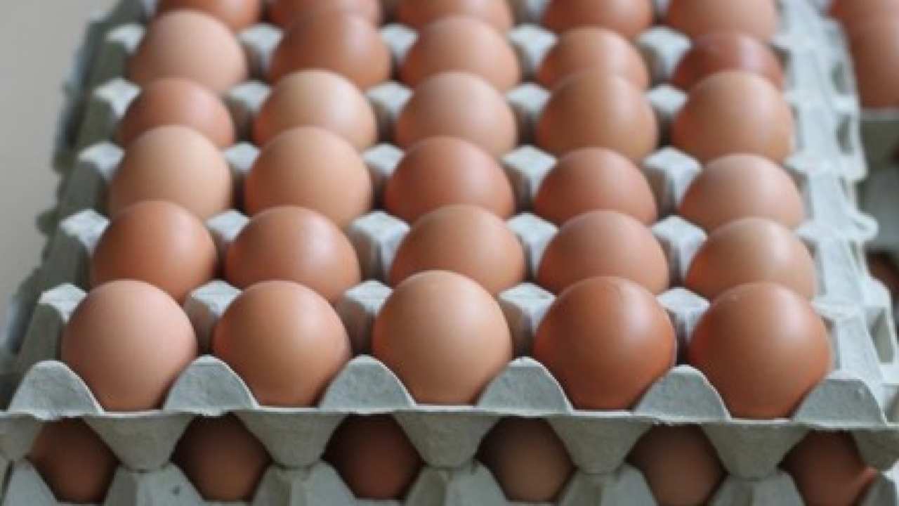 Come e dove conservare le uova in frigorifero