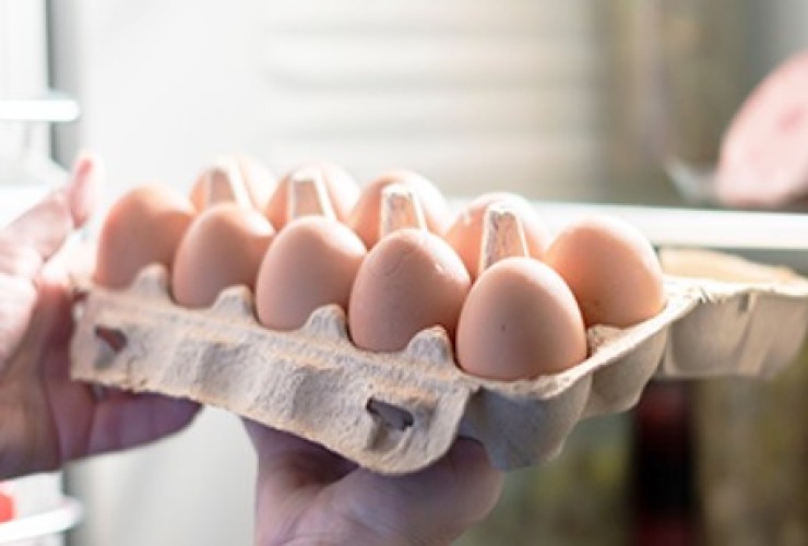 Come vanno conservate le uova?