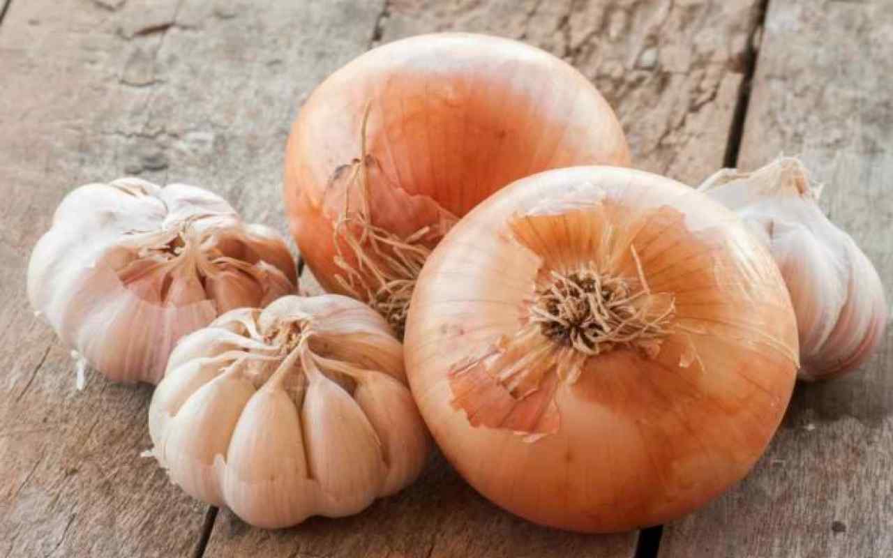Cipolla e aglio: il luogo migliore per conservarli e tutti gli errori da non fare I In pochi lo sanno 