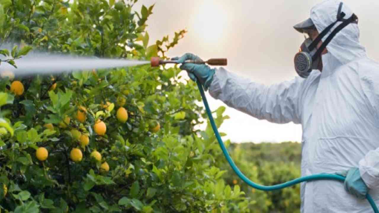 Allarme pesticidi