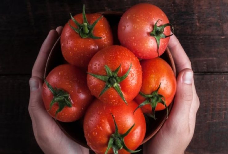 Pomodori come conservarli al meglio