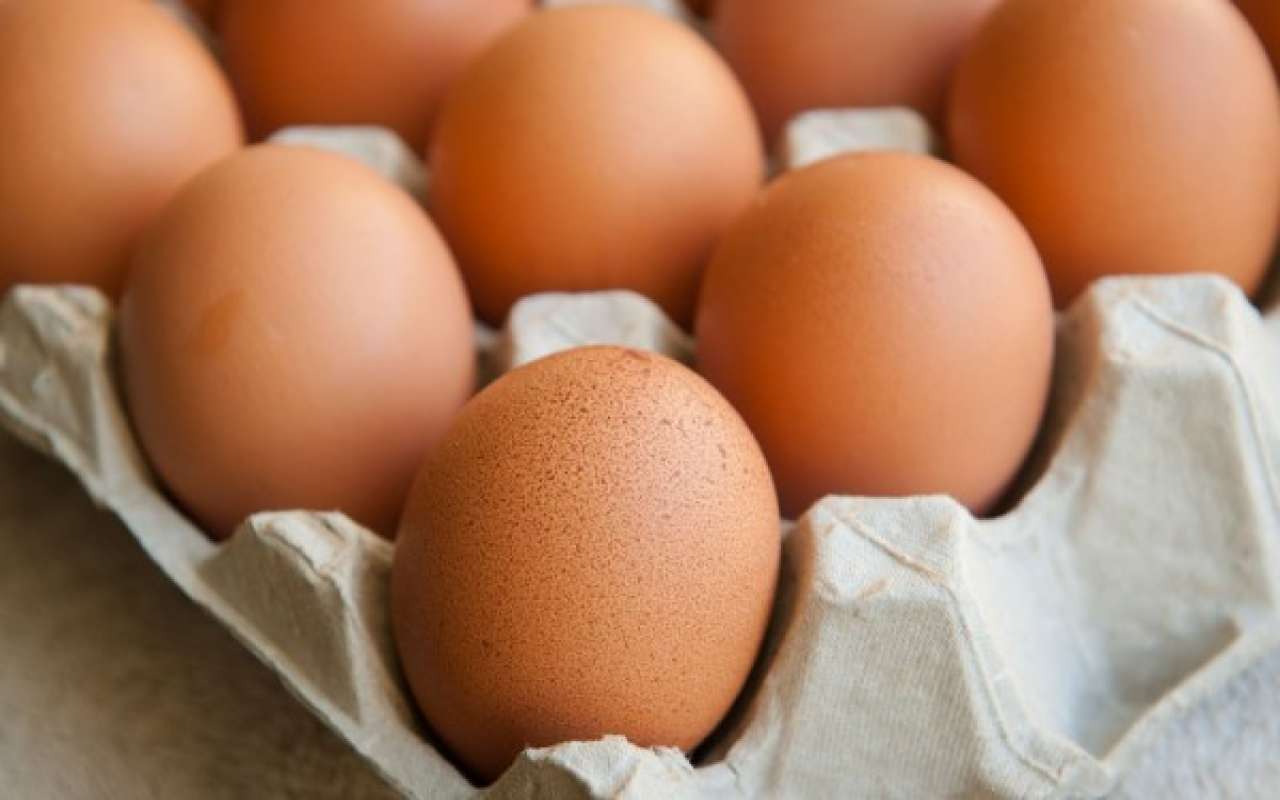 La miglior conservazione per le uova