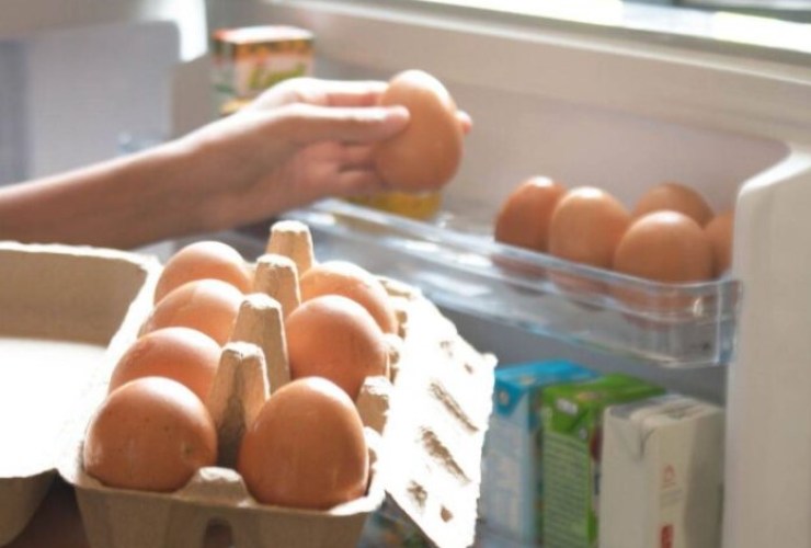 Uova, come vanno messe correttamente nel frigo?