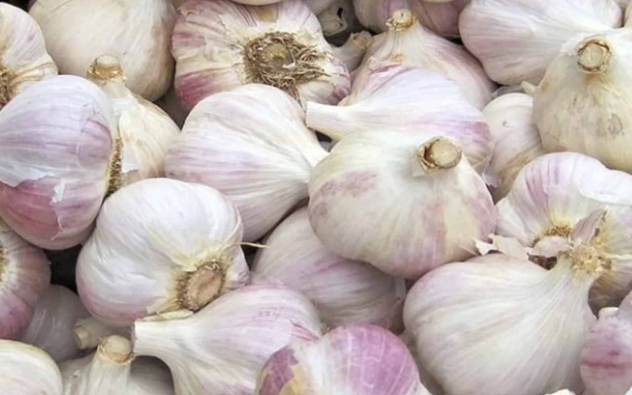 Aglio, come conservarlo al meglio