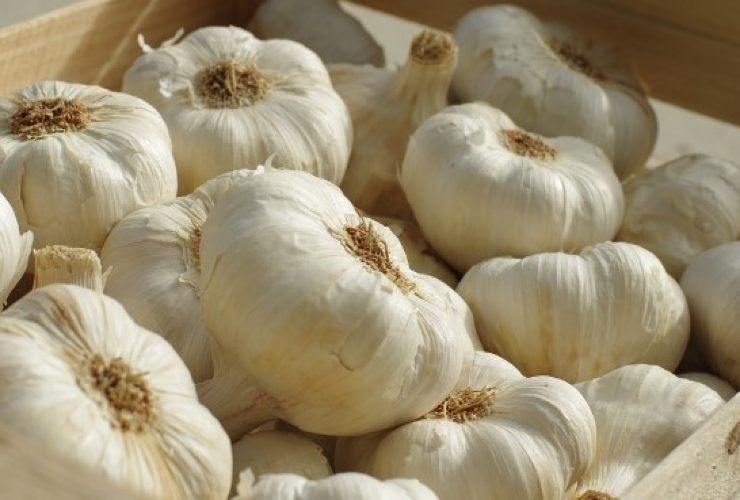 Aglio, come conservarlo al meglio