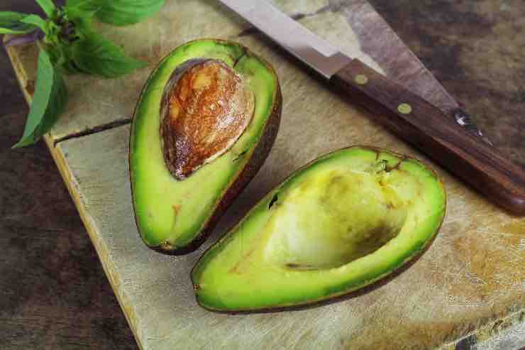 Frutto avocado - Laterradelgusto.it