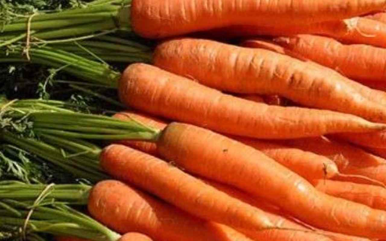 Come conservare al meglio le carote