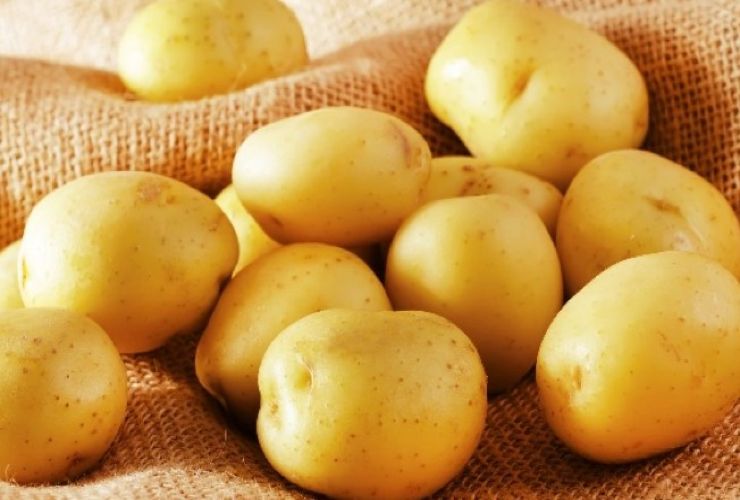 Come conservare le patate nel modo giusto