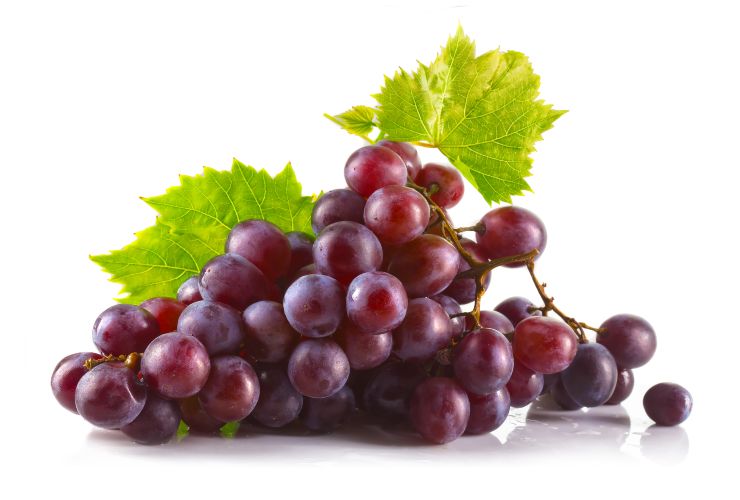 Come conservare l'uva al meglio