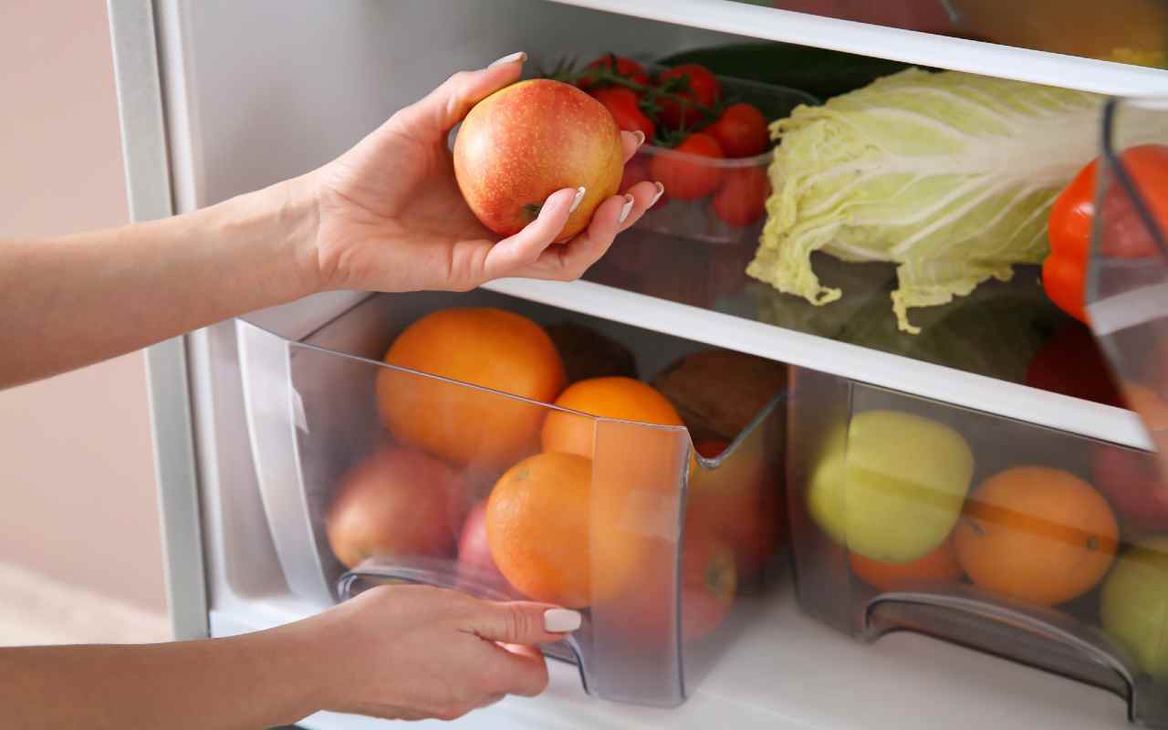 Come conservare al meglio le verdure in frigo