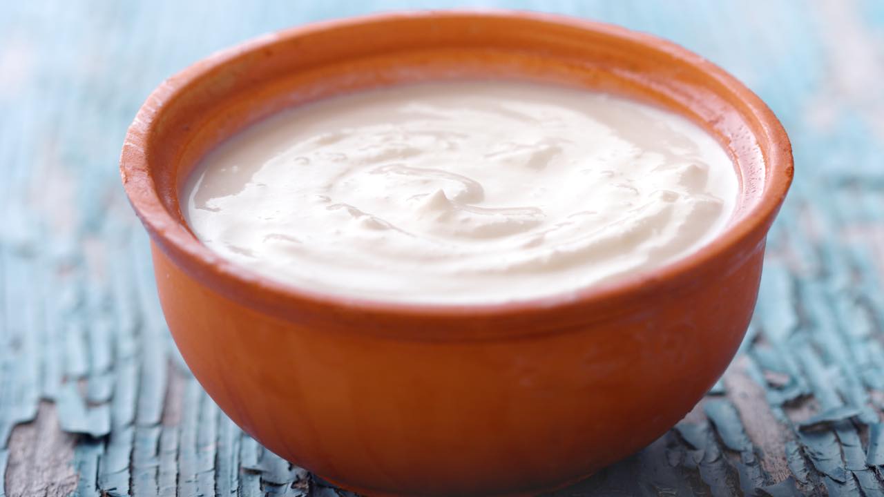 Yogurt greco - Laterradelgusto.it