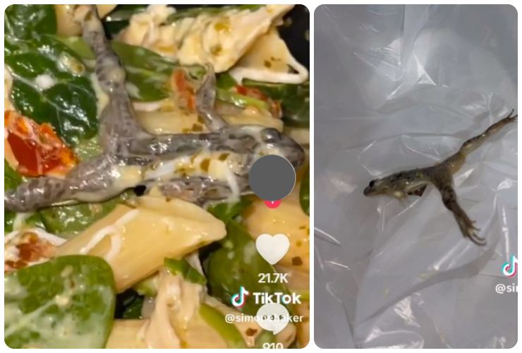 Una terribile sorpresa in una busta di spinaci