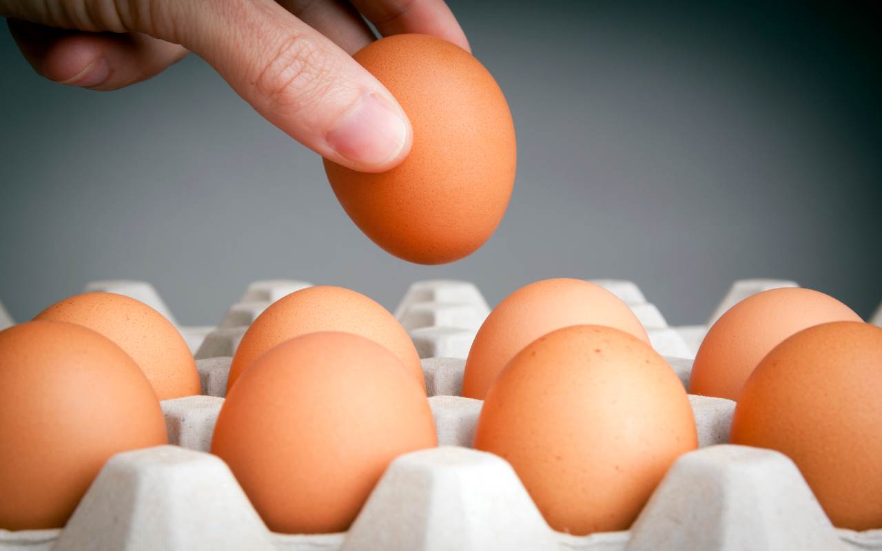 Conservare correttamente le uova