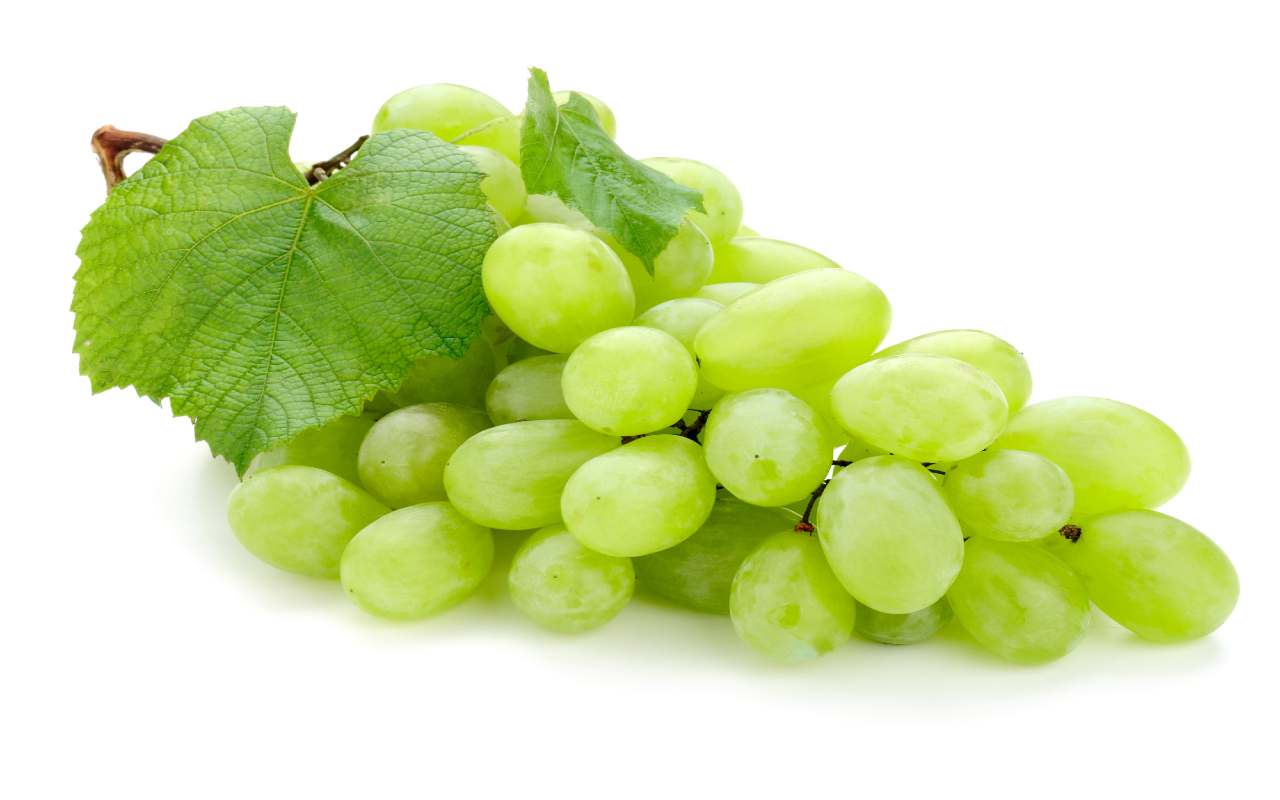 Le proprietà dell'uva