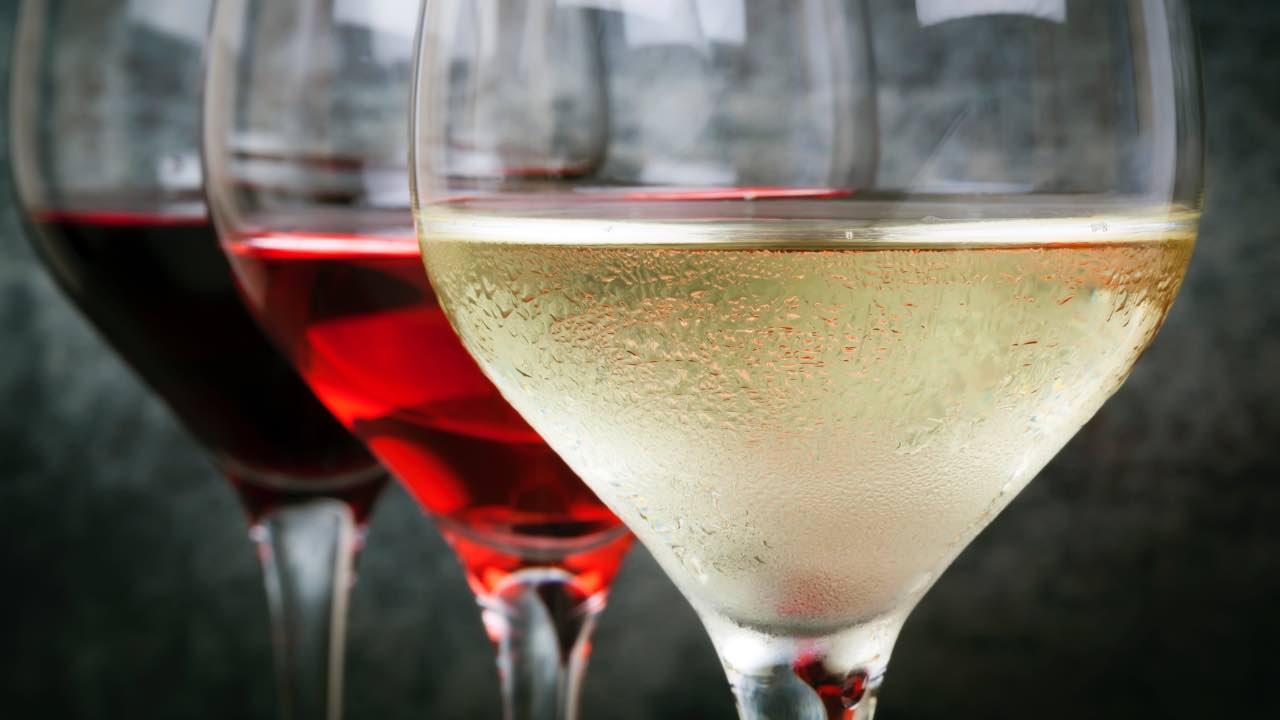 Vino bianco e vino rosso - Laterradelgusto.it