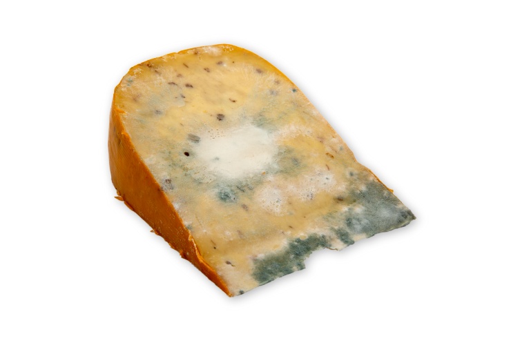 Quando consumare un formaggio con muffa