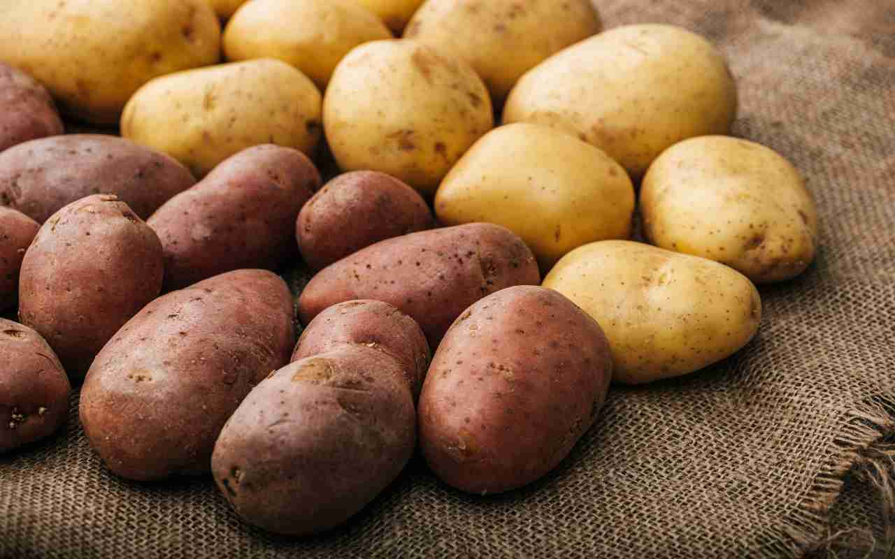 Dove vanno conservate le patate?