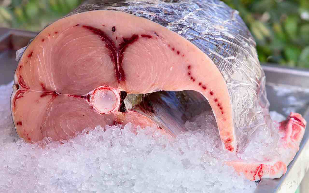Attenzione al pesce spada contaminato