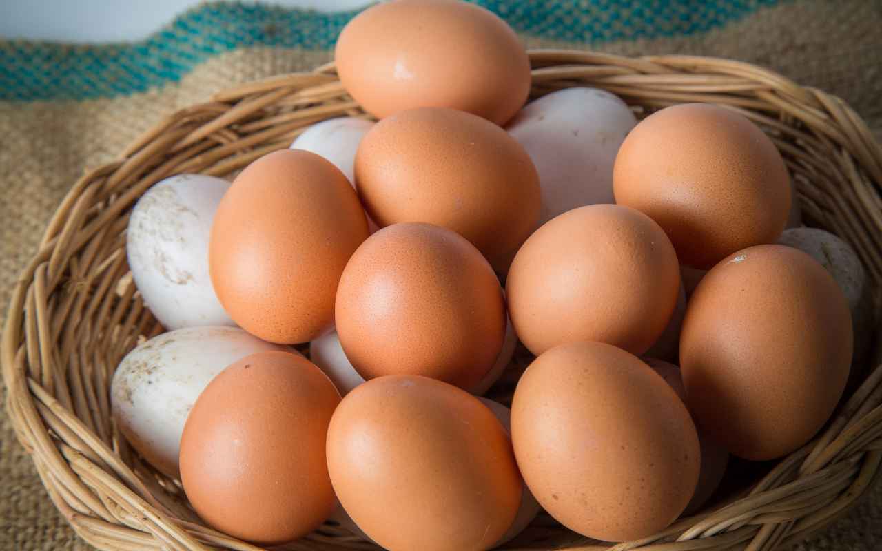 Come misurare la freschezza delle uova