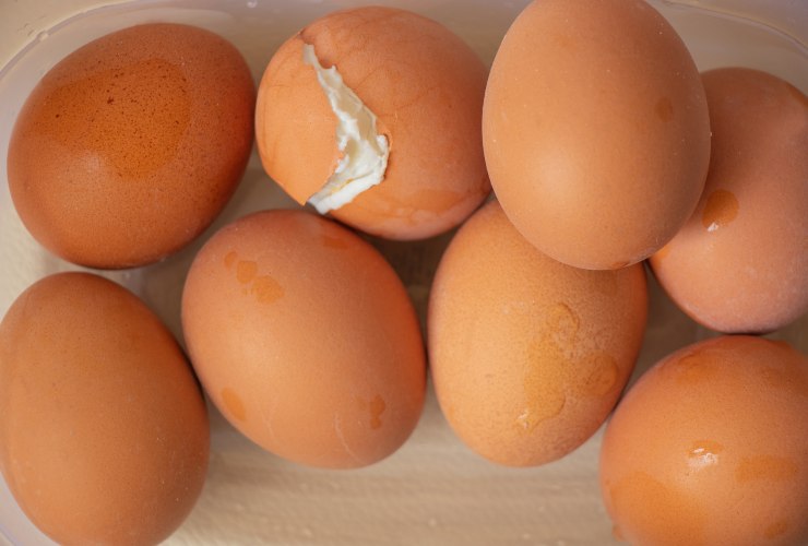 Uova sode, il modo migliore per cuocerle