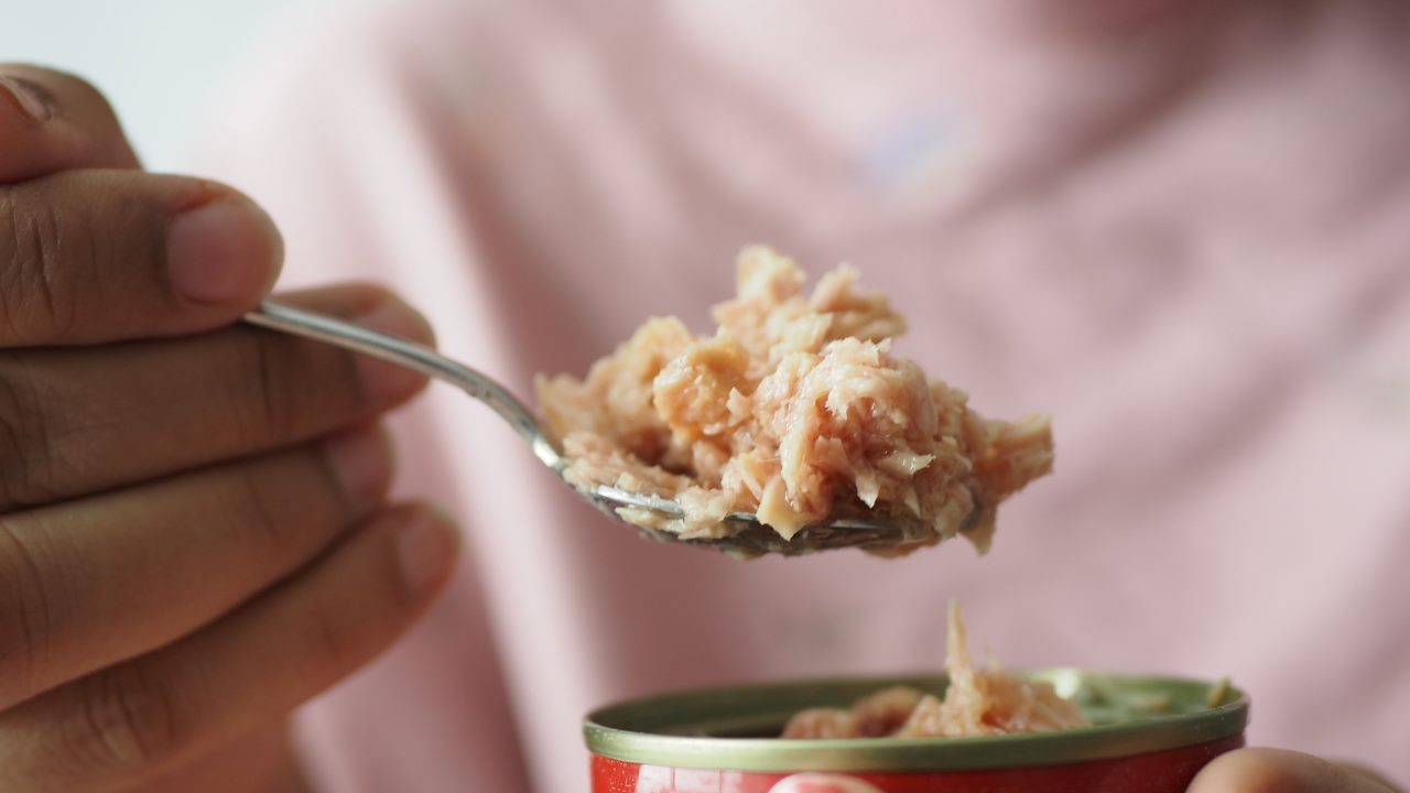 Mangiare troppo tonno non è salutare