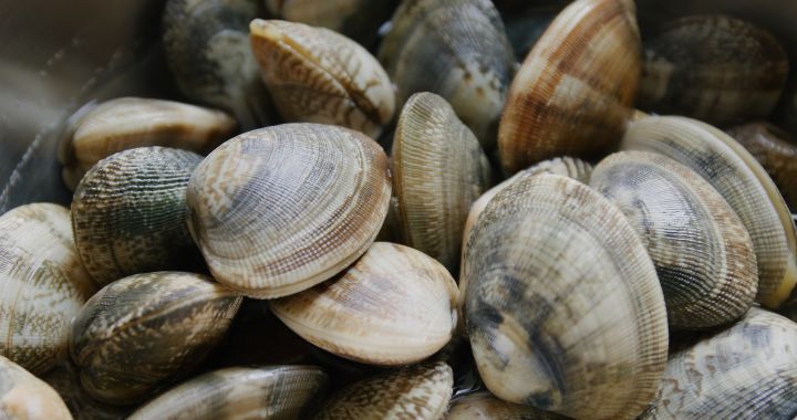 La ricetta degli spaghetti alle vongole di Cannavacciuolo