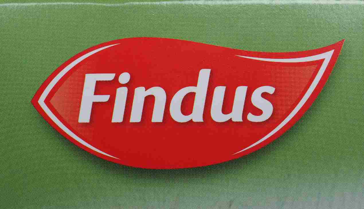 Findus, a breve la scomparsa dai punti vendita