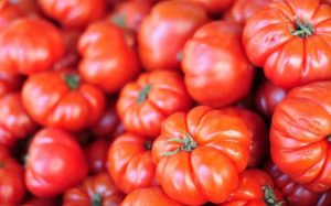 Pomodori come conservarli al meglio