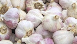 Aglio ecco come conservarlo al meglio