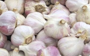 Aglio, come conservarlo al meglio
