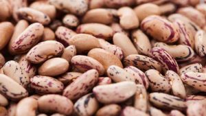 Fagioli - Terradelgusto.it