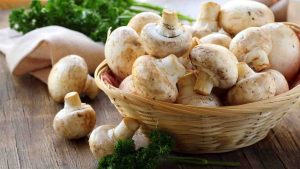 Funghi contro il cancro - Laterradelgusto.it