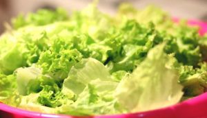 Insalata, ecco i trucchi per conservarla al meglio