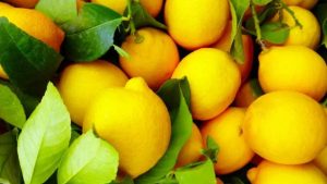 Limoni, ideali per un buon pesto