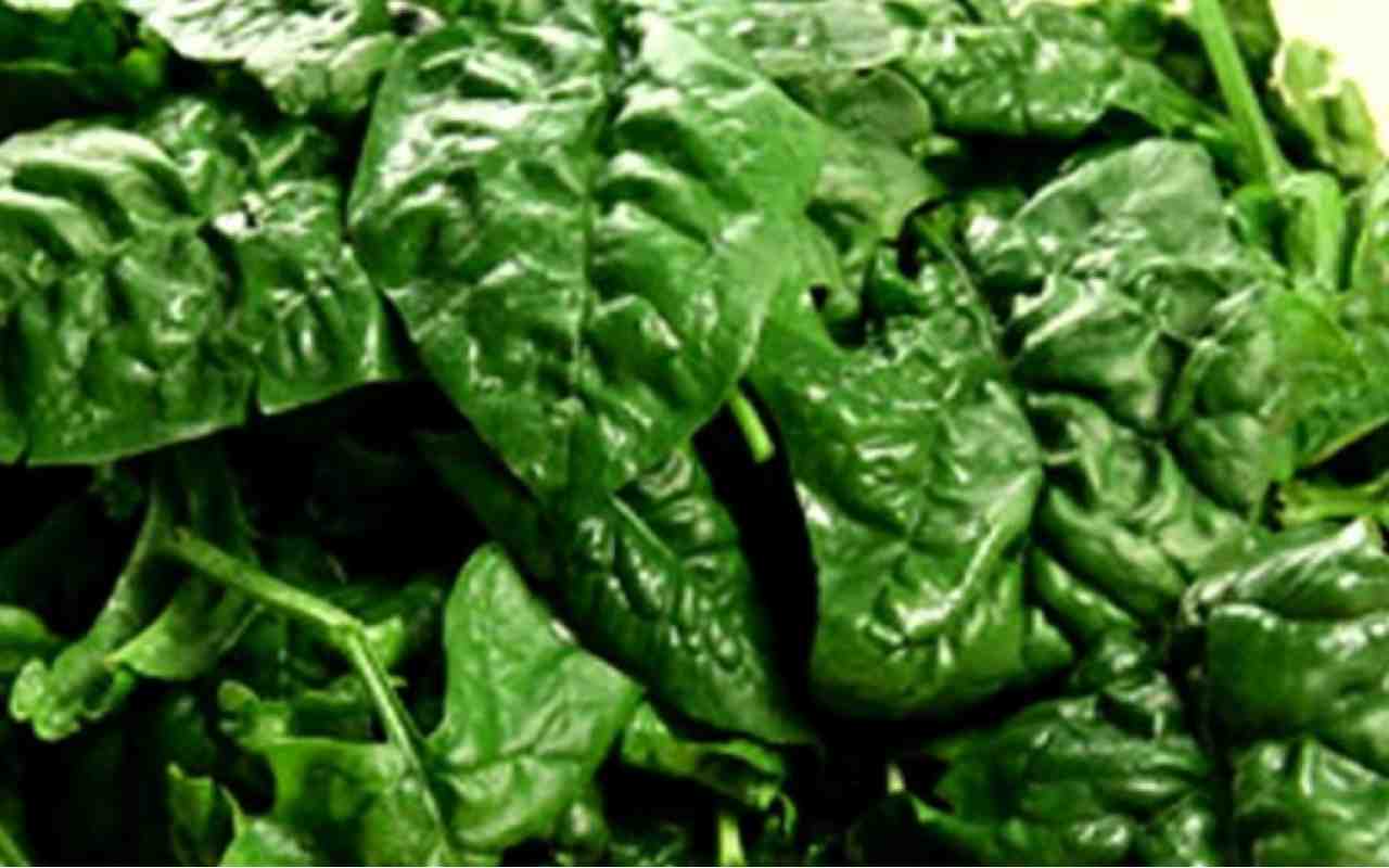 The spinach trick to preserving it without spoiling it: It will save you a lot of money