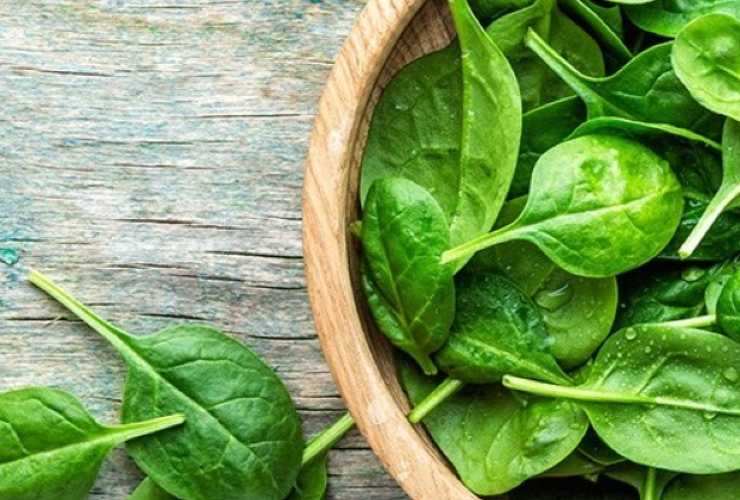 Spinach, here's the best way to store it