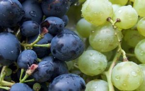 Uva al centro di un richiamo alimentare
