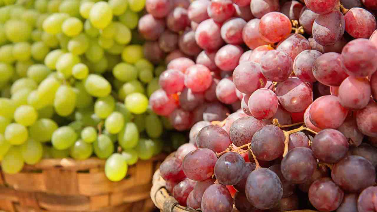 Grapes: A Powerful Weapon Against Cancer