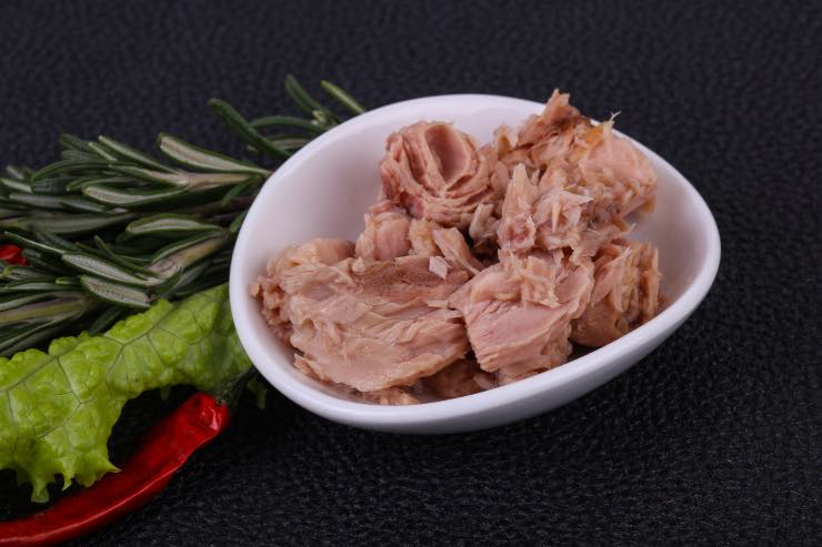 Canned tuna - Laterradelgusto.it