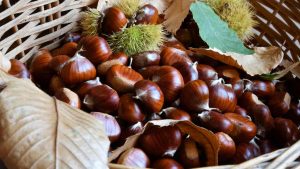Castagne - laterradelgusto.it