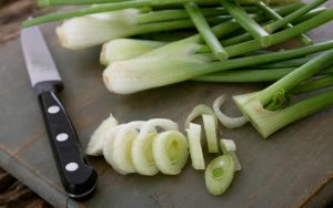 La qualità del cipollino nocerino
