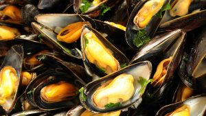 Cozze - Laterradelgusto.it