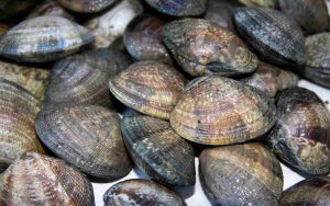 Un controllo da fare sulle vongole quando di comprano