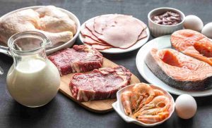 Quel che va saputo sulla dieta proteica
