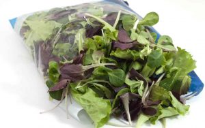 Insalata richiamata per contaminazione