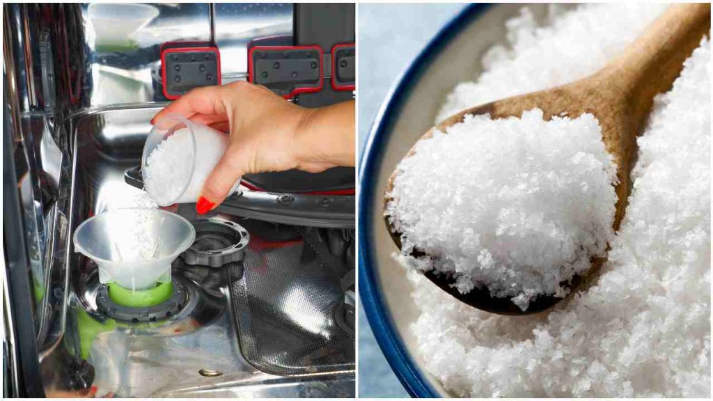 Il sale da lavastoviglie o da cucina vanno bene entrambi?