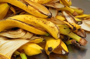 bucce di banana